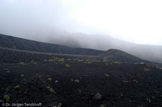 Sizilien (417 von 565).jpg